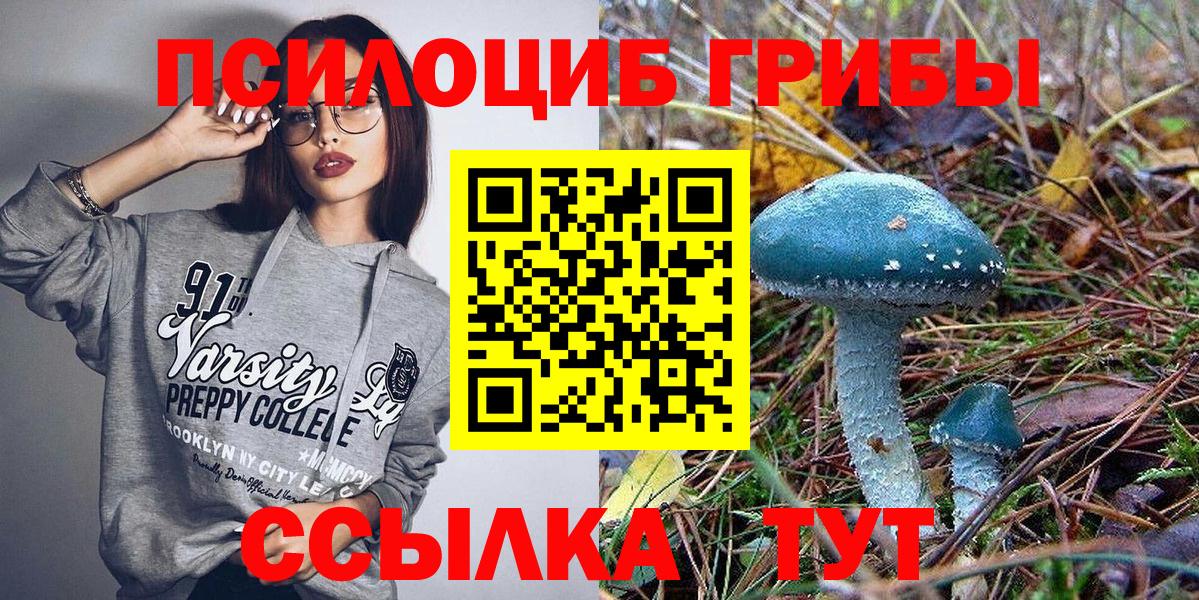 Псилоцибиновые грибы Psilocybine cubensis  Вход с VPN  Воскресенск 